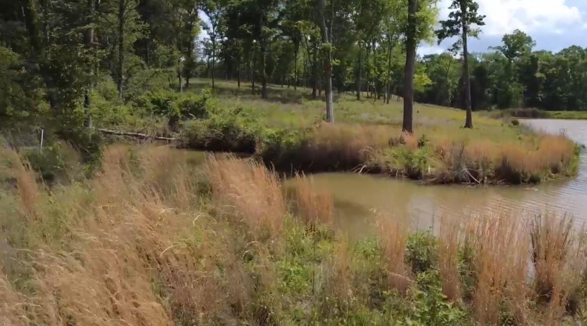 Lot 9 County Road 494
