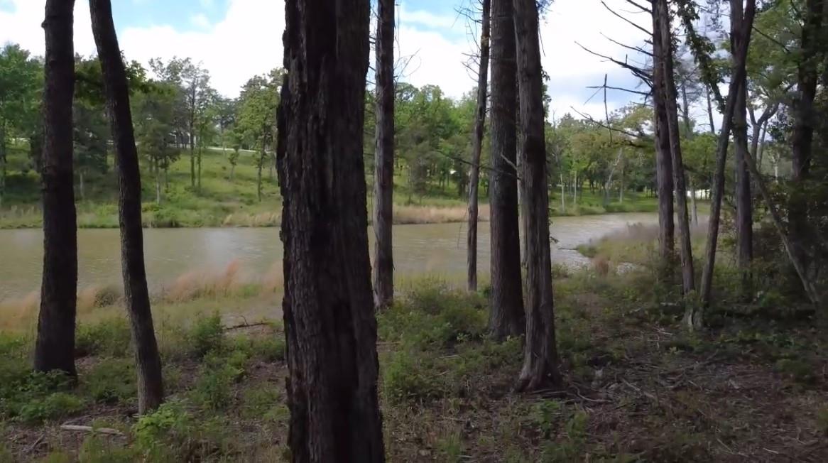 Lot 9 County Road 494