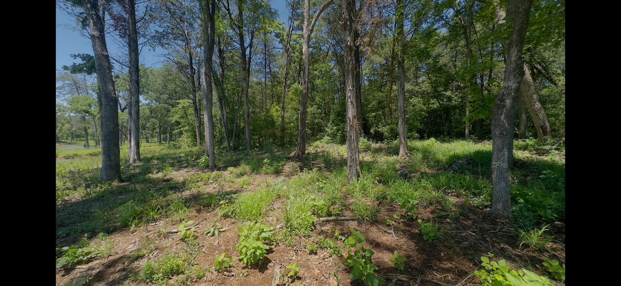 Lot 9 County Road 494