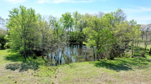 Vacant Land For Sale - 6 AC Fm 3091<br/> Madisonville, TX 77864