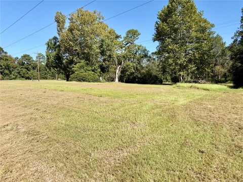 Photo of TBD Highway 146 N, Cleveland, TX 77327 (MLS # 31978977)