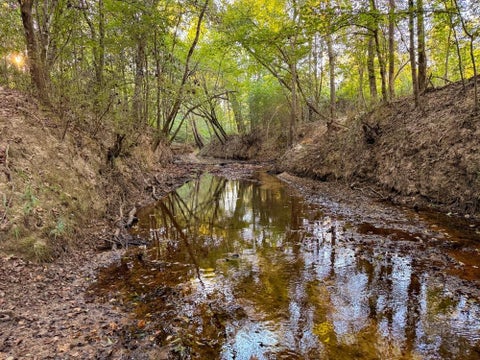 Photo of TBD Farm To Market 1012, Newton, TX 75966 (MLS # 72307069)