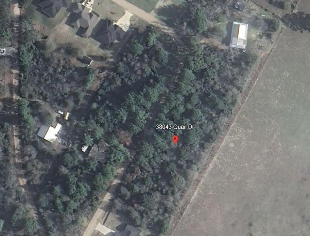 Photo of 38043 Quail Drive, Hempstead, TX 77445 (MLS # 70001129)