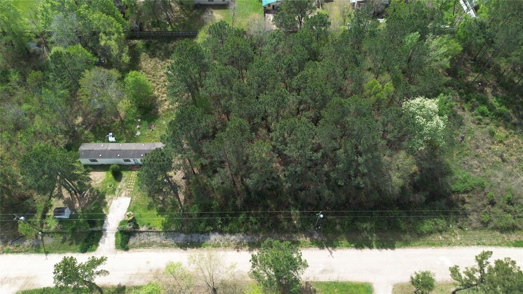 Photo of 25852 Essex, New Caney, TX 77357 (MLS # 22797215)