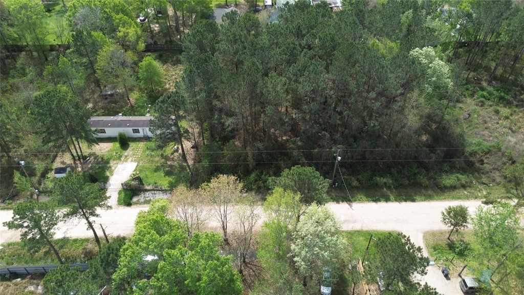 Photo of 25852 Essex, New Caney, TX 77357 (MLS # 22797215)