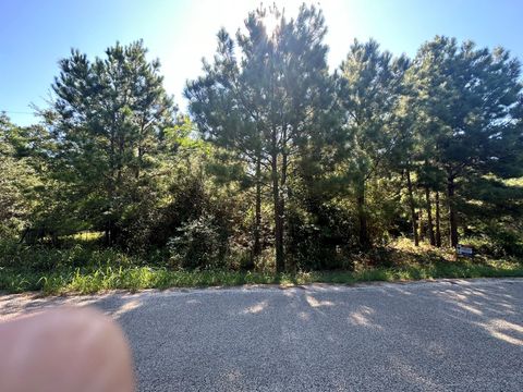 Photo of 0 Alum Creek Road, Smithville, TX 78957 (MLS # 50399350)