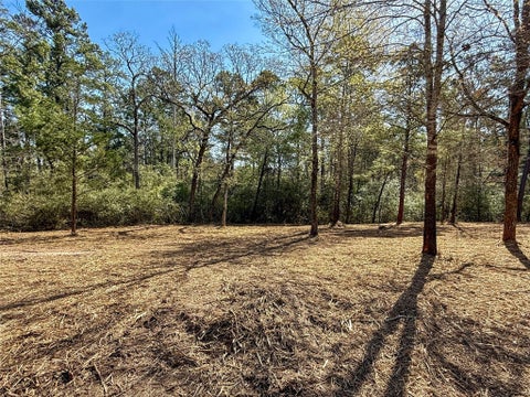 Mobile Home For Sale - TBD Round Prairie Rd<br/> Walker County, Huntsville, TX 77320