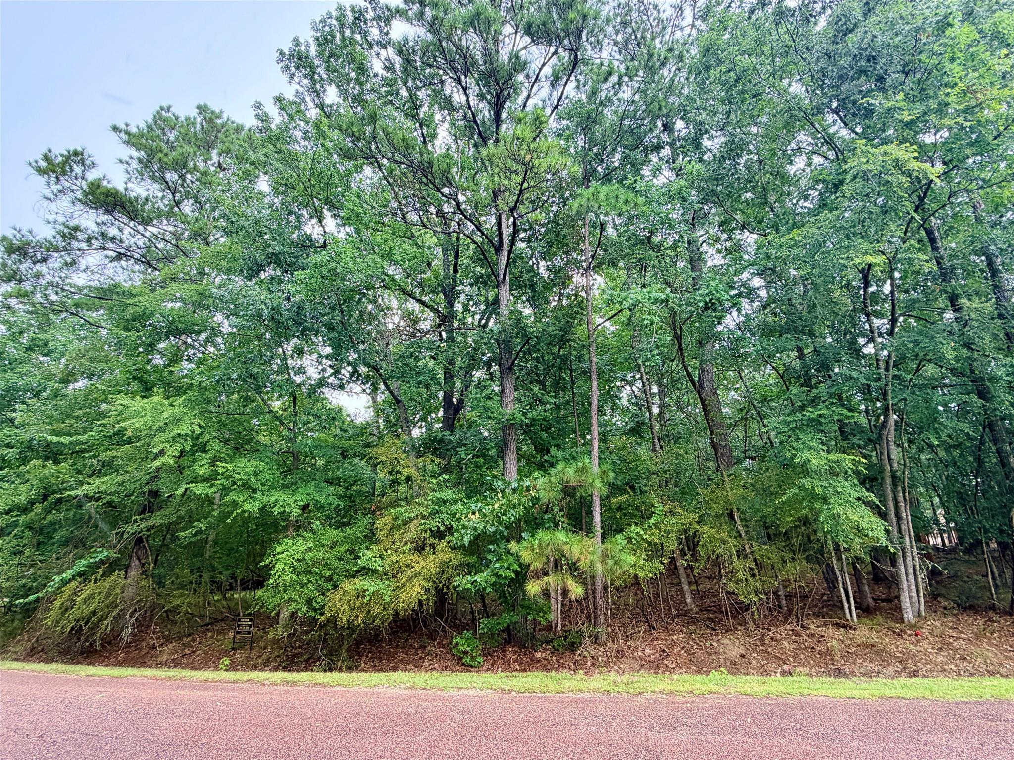 85 S Royale Greens Drive