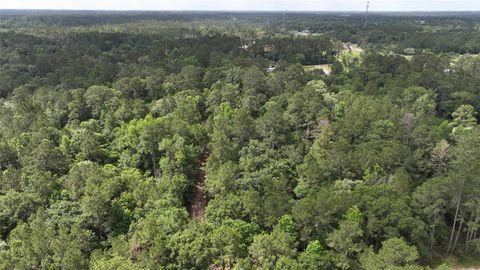Photo of 0 Todd Mission Drive, Plantersville, TX 77363 (MLS # 76916727)