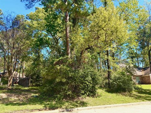 Photo of 3015 Chaucer Drive, Montgomery, TX 77356 (MLS # 17836367)