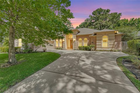 110 Wick Willow Drive Montgomery TX 77356