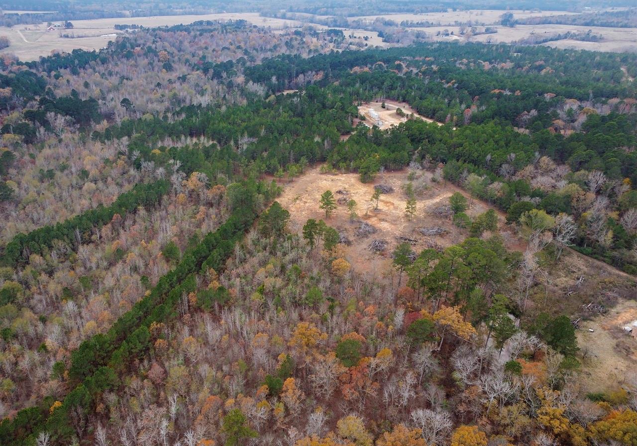 21404 County Road 294