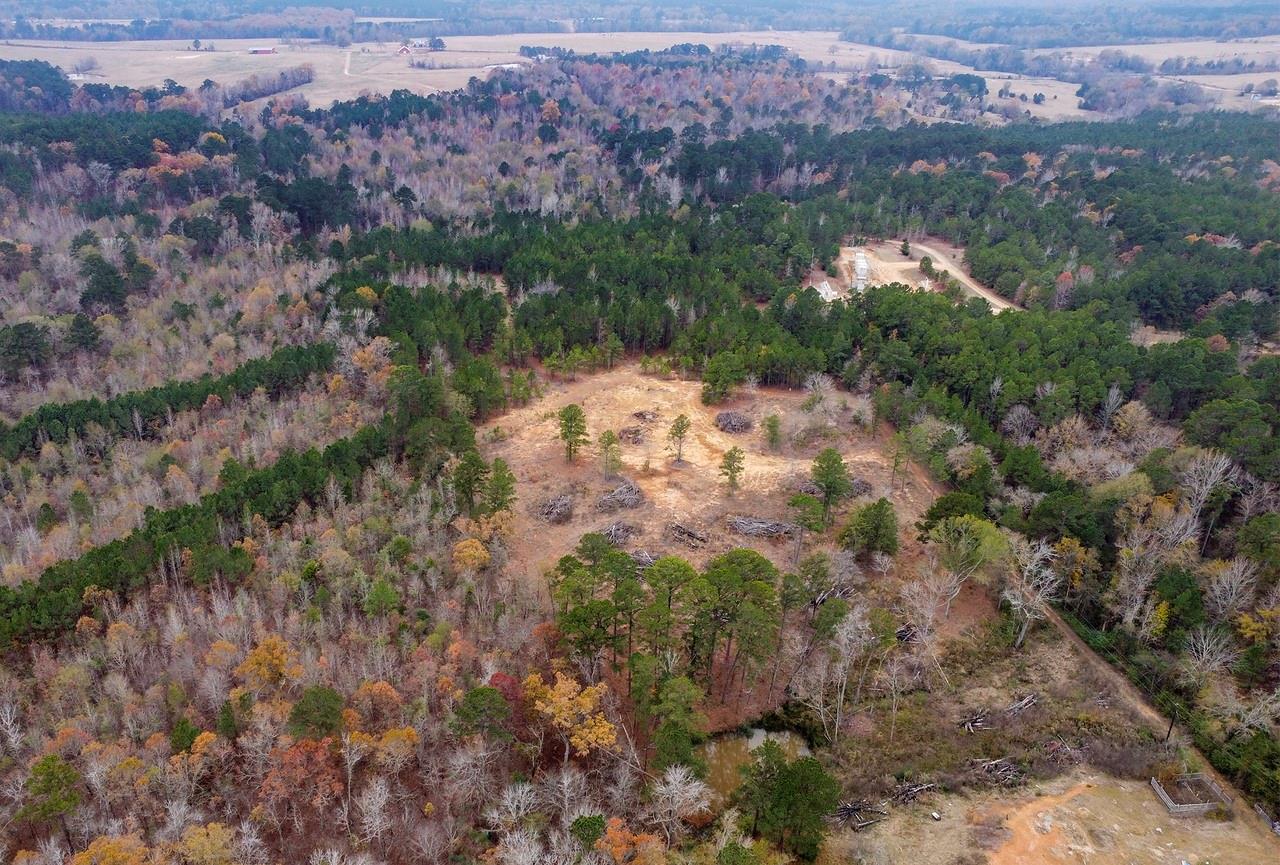 21404 County Road 294