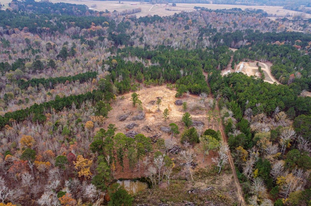 21404 County Road 294