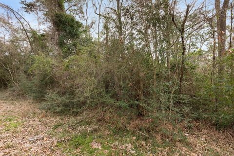 Lot 47 Sunset Drive Livingston TX 77351
