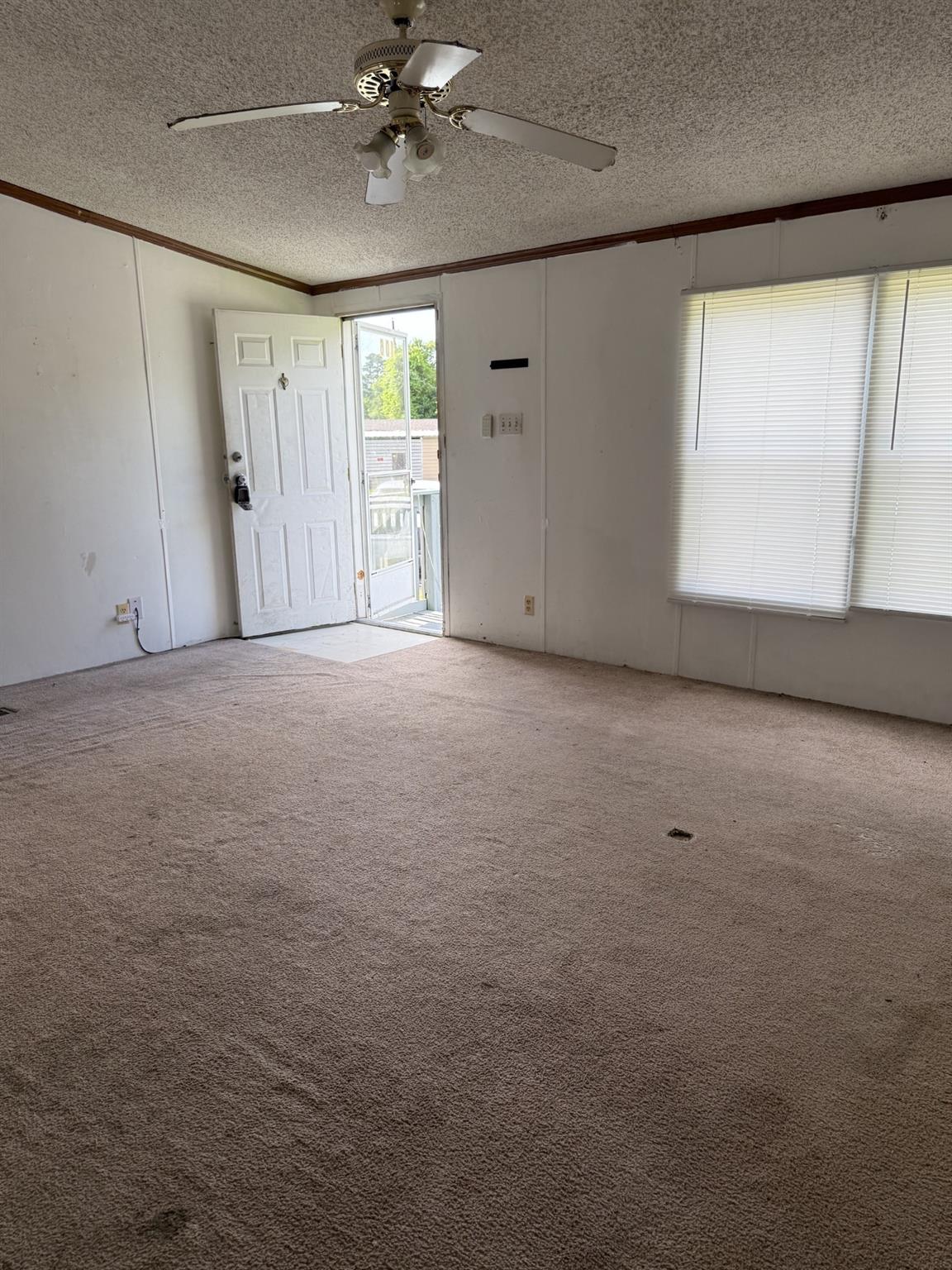 106 Courtland Court