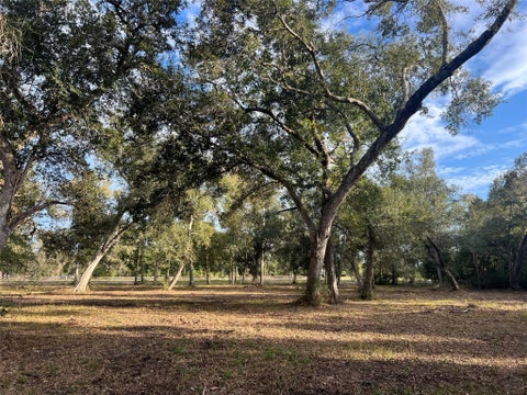Photo of 0 Cr-525, Sweeny, TX 77480 (MLS # 4896678)