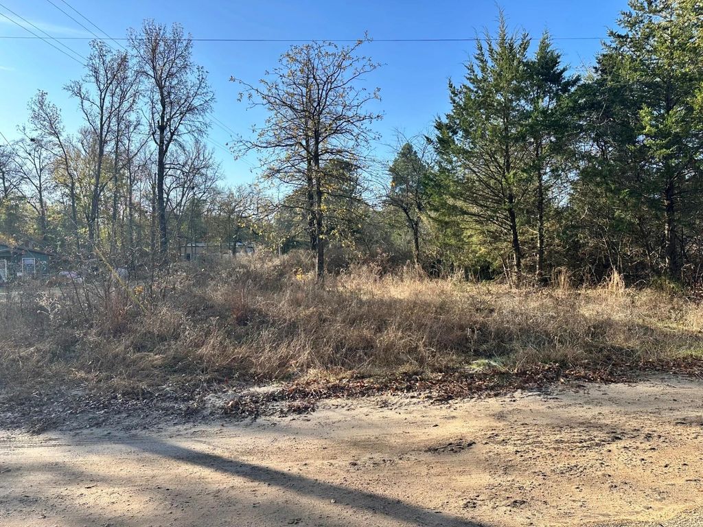 Photo of 529 Hickory Lane, Mineola, TX 75773 (MLS # 77379653)