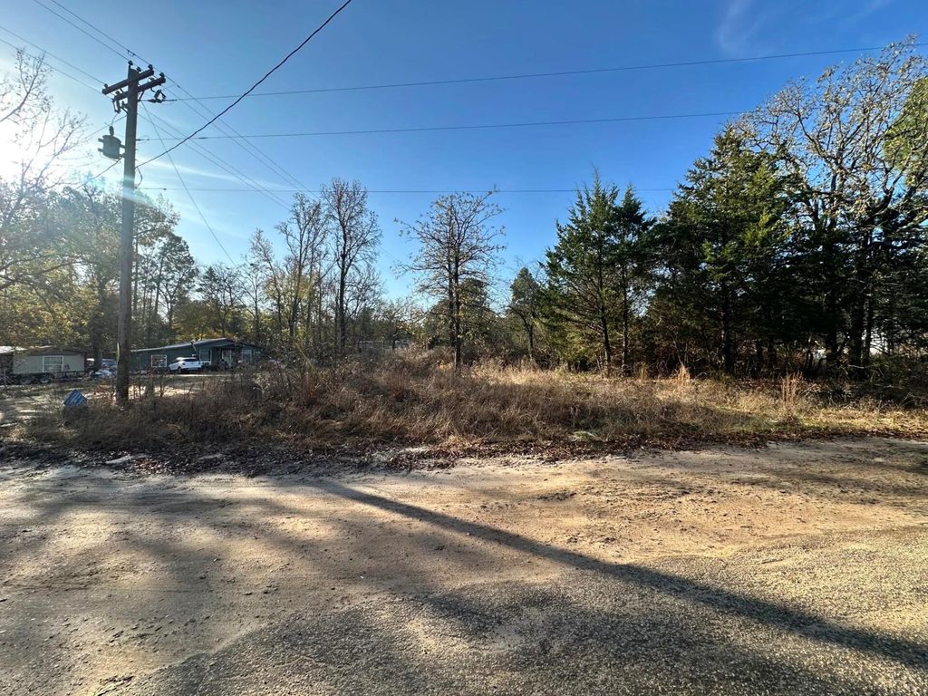 Photo of 529 Hickory Lane, Mineola, TX 75773 (MLS # 77379653)