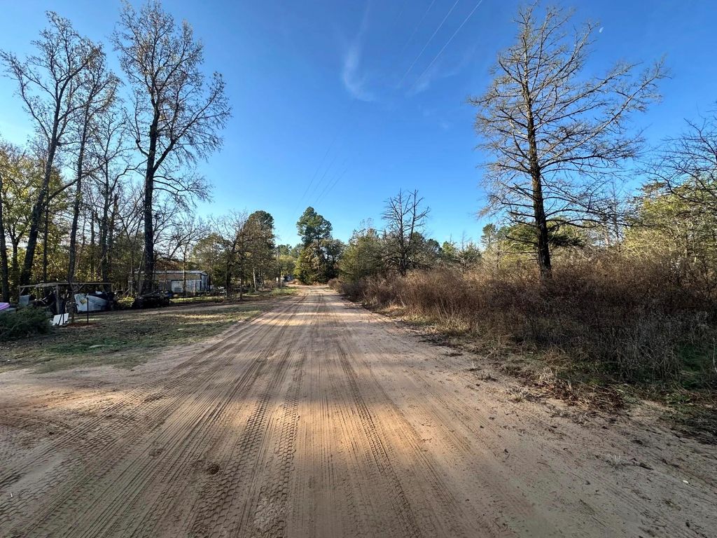 Photo of 529 Hickory Lane, Mineola, TX 75773 (MLS # 77379653)