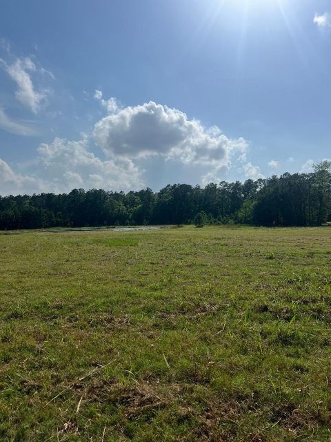 Vacant Land For Sale - TRACT 2- 000 TBD Blackburn<br/> Splendora, TX 77372