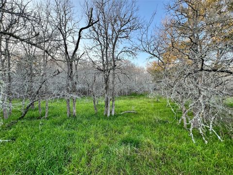 Vacant Land For Sale - 805 Wilderness Rd<br/> Burleson County, Somerville, TX 77879