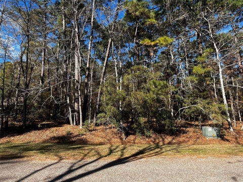 Photo of 10 Wentworth Lane, Coldspring, TX 77331 (MLS # 81272936)