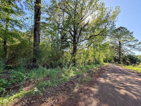 Photo of TBD Flat Road, Milam, TX 75930 (MLS # 93681943)