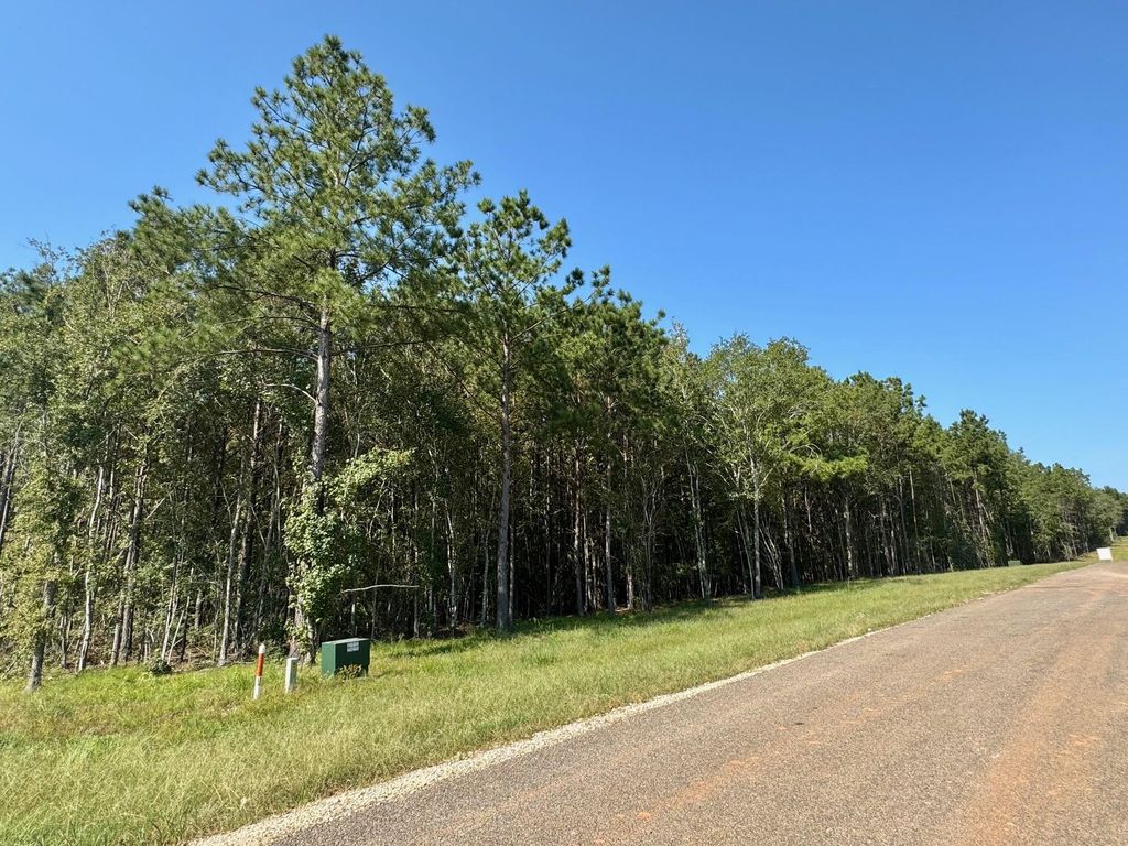 Photo of TBD Stonebrook Drive, Livingston, TX 77351 (MLS # 45726885)