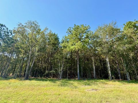 Photo of TBD Stonebrook Drive, Livingston, TX 77351 (MLS # 45726885)