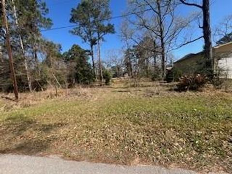 Photo of TBD Apple Tree, Livingston, TX 77351 (MLS # 92788161)