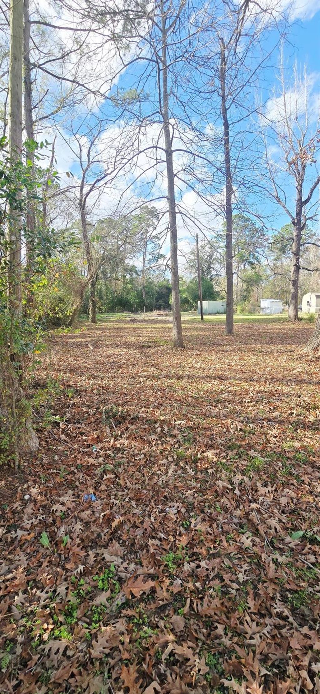 Photo of 20668 Pin Oak Road, New Caney, TX 77357 (MLS # 55710547)