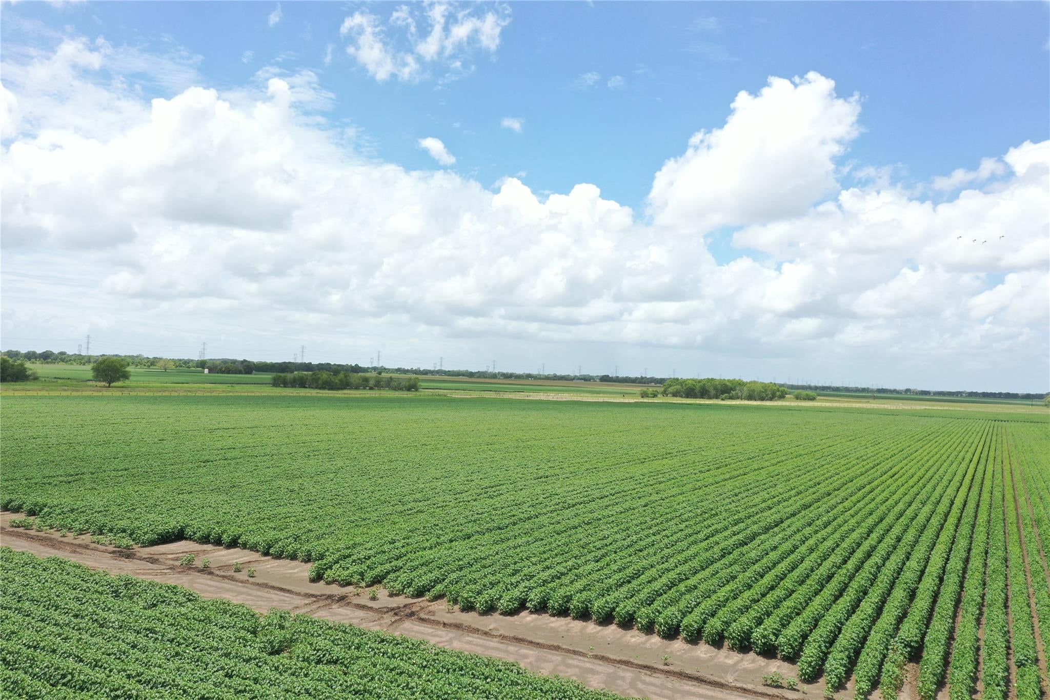 000 Fm 361-Fairchilds-Long Point Road