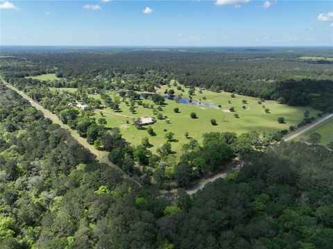 Photo of 32023 Courtney Road, Waller, TX 77484 (MLS # 57879047)