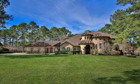 28333 Meadow Falls Magnolia TX 77355