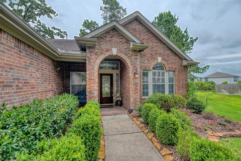 Photo of 6 Red Adler Place, The Woodlands, TX 77382 (MLS # 12586006)