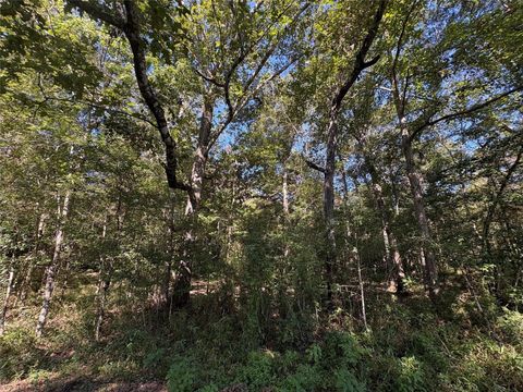 Photo of 25595 Fm 787, Thicket, TX 77374 (MLS # 71136322)