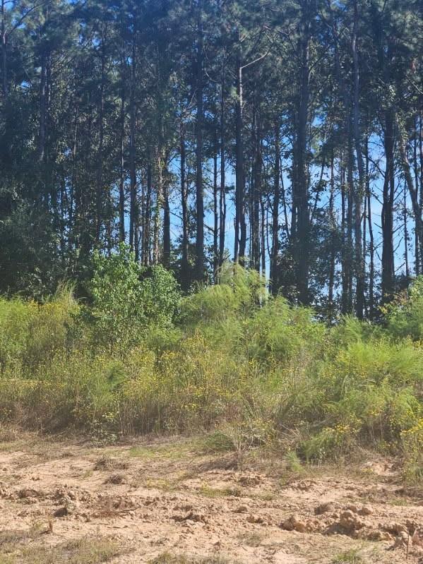 2049 Road 5913