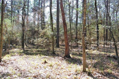 Vacant Land For Sale - 5 Magnolia Court<br/> Trinity, TX 75862