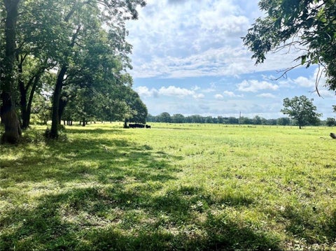Vacant Land For Sale - S County Road 263<br/> Wharton County, Egypt, TX 77434