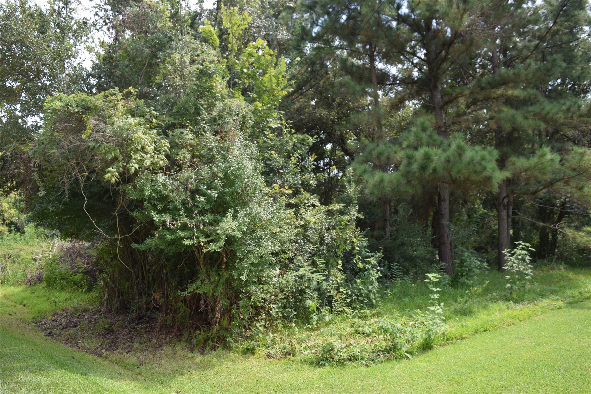 00 Belcher Road - Cr 397 Road
