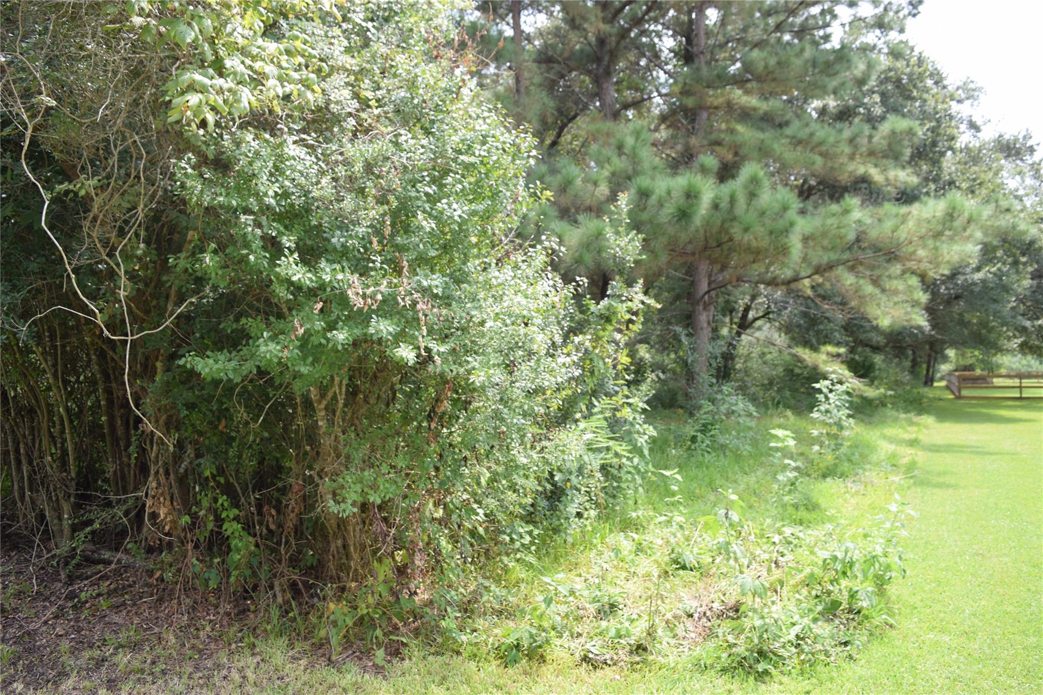 00 Belcher Road - Cr 397 Road