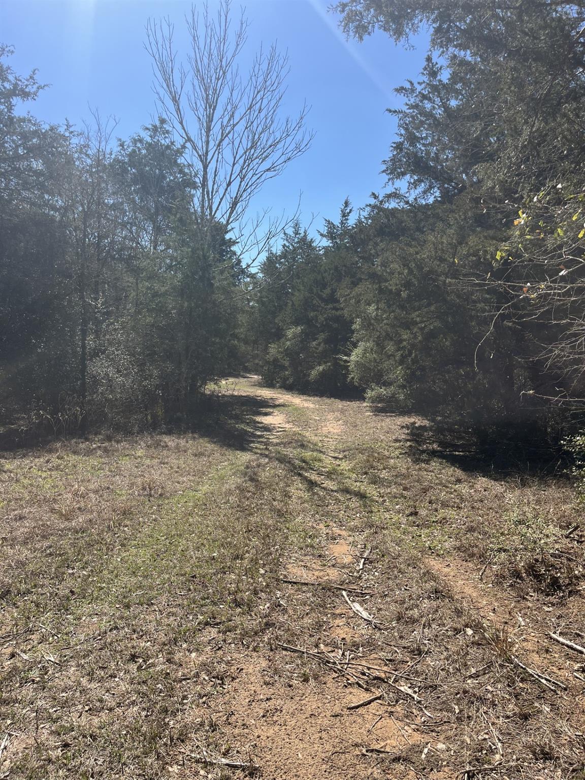 1165 Cr 213 Tract 2