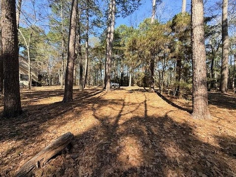 Vacant Land For Sale - 7 Altwood Drive<br/> San Jacinto County, Coldspring, TX 77331