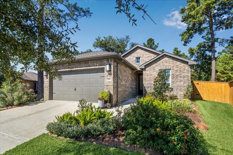 108 Pink Clover Court Montgomery TX 77316