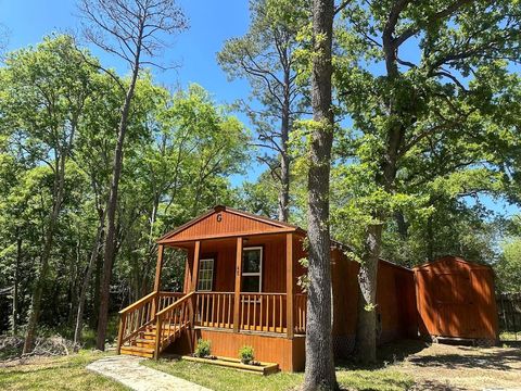 Photo of 48 Vigilante Road, Point Blank, TX 77364 (MLS # 52941024)