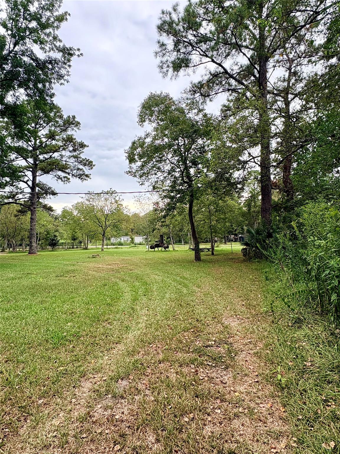 274 County Road 48824