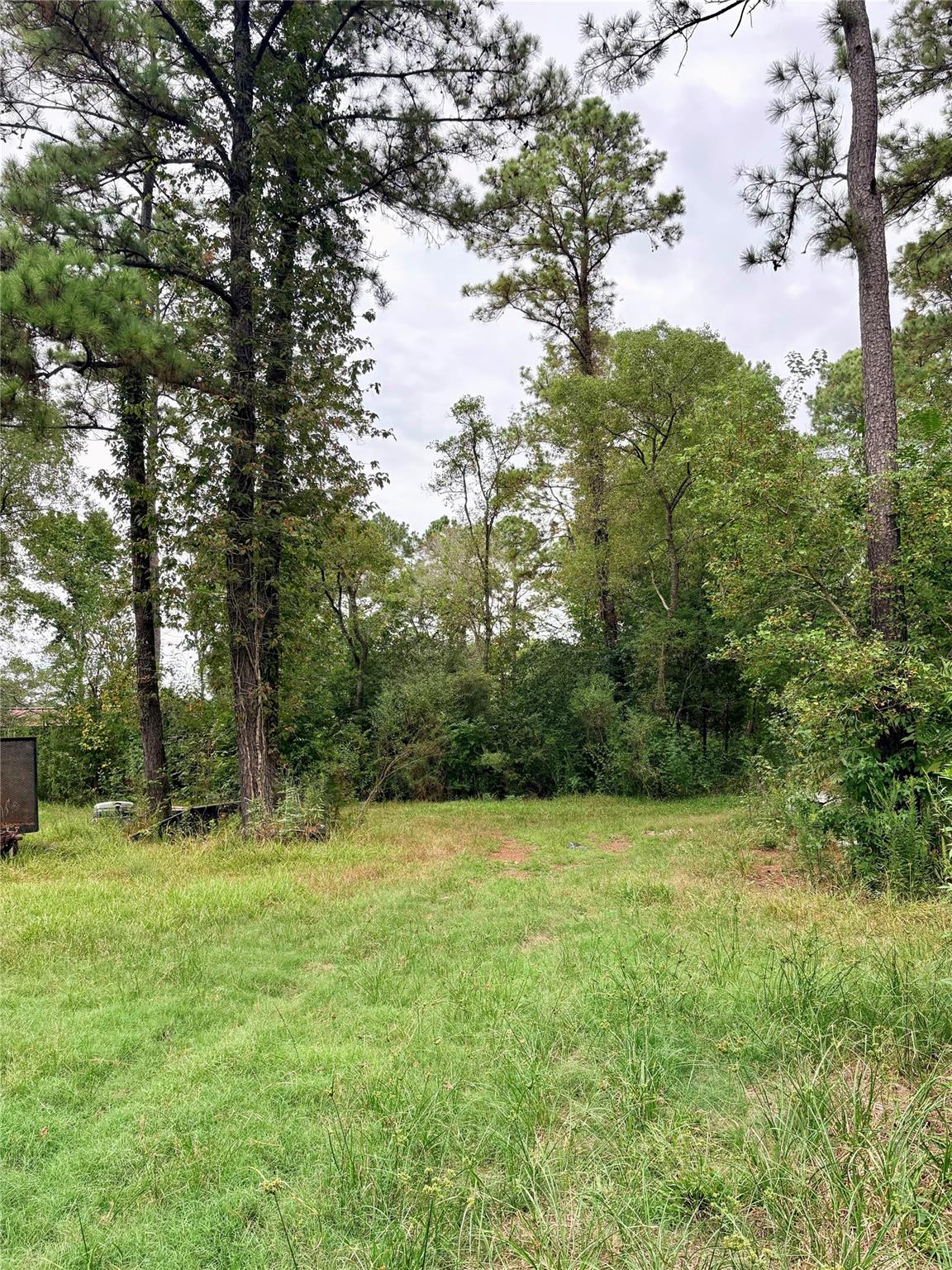 274 County Road 48824