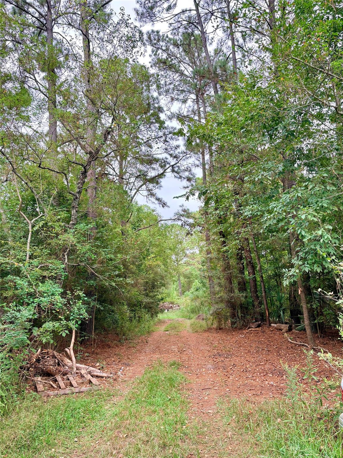 274 County Road 48824