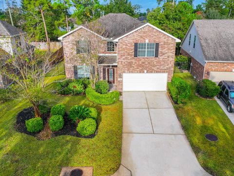 27 Fraiser Fir Place Spring TX 77389